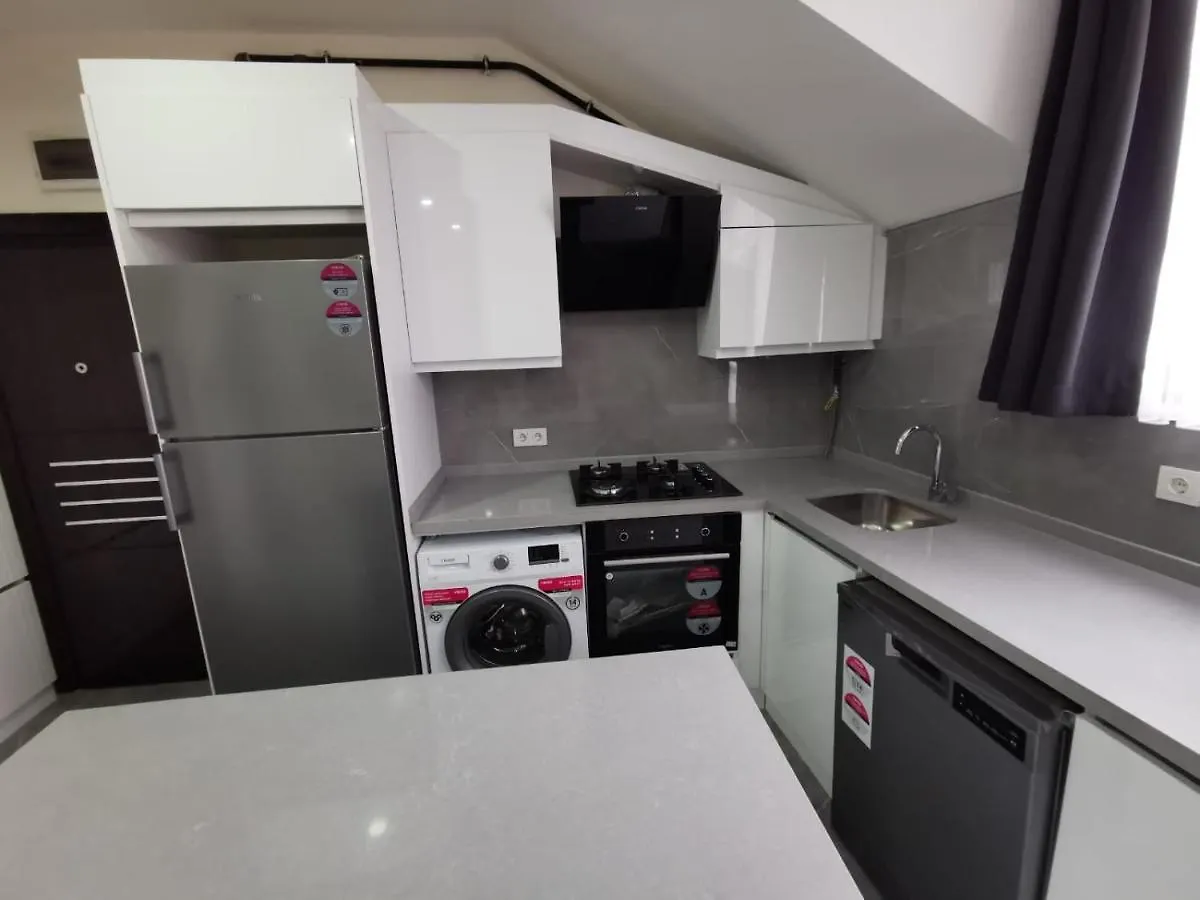 איסטמבול Rose Plus Residence 0*,
